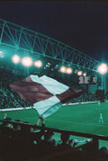 Under the Lights at Tynecastle