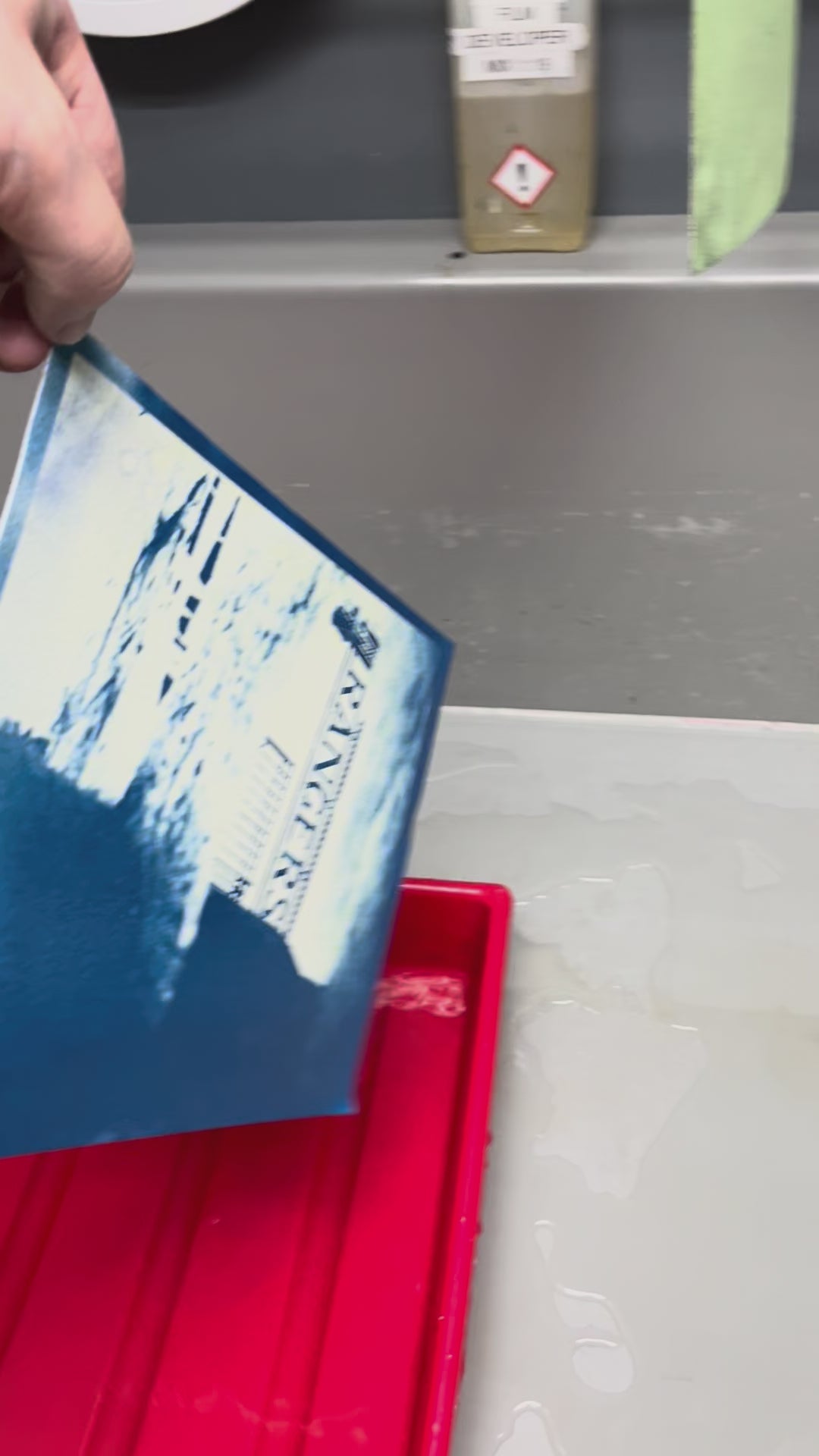 'Rainy Rangers' on Cyanotype print